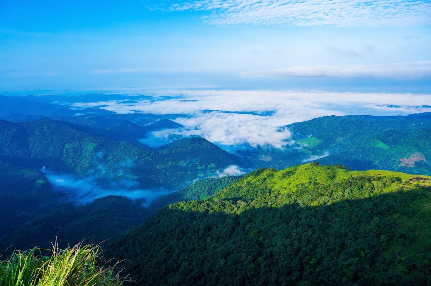 Hidden Gems To Explore In Paranthumpara