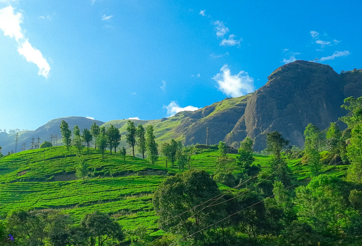 Why Misty Hills Offer The Ultimate Relaxation